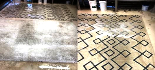 Modern Rug Cleaning Service Pompano Beach